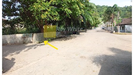 Dijual Tanah Teluk Betung Timur
