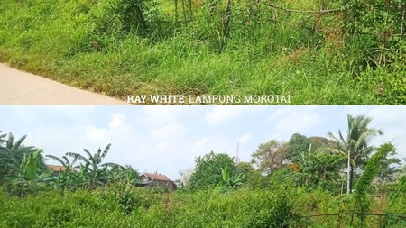 Dijual Tanah Natar Lampung Selatan
