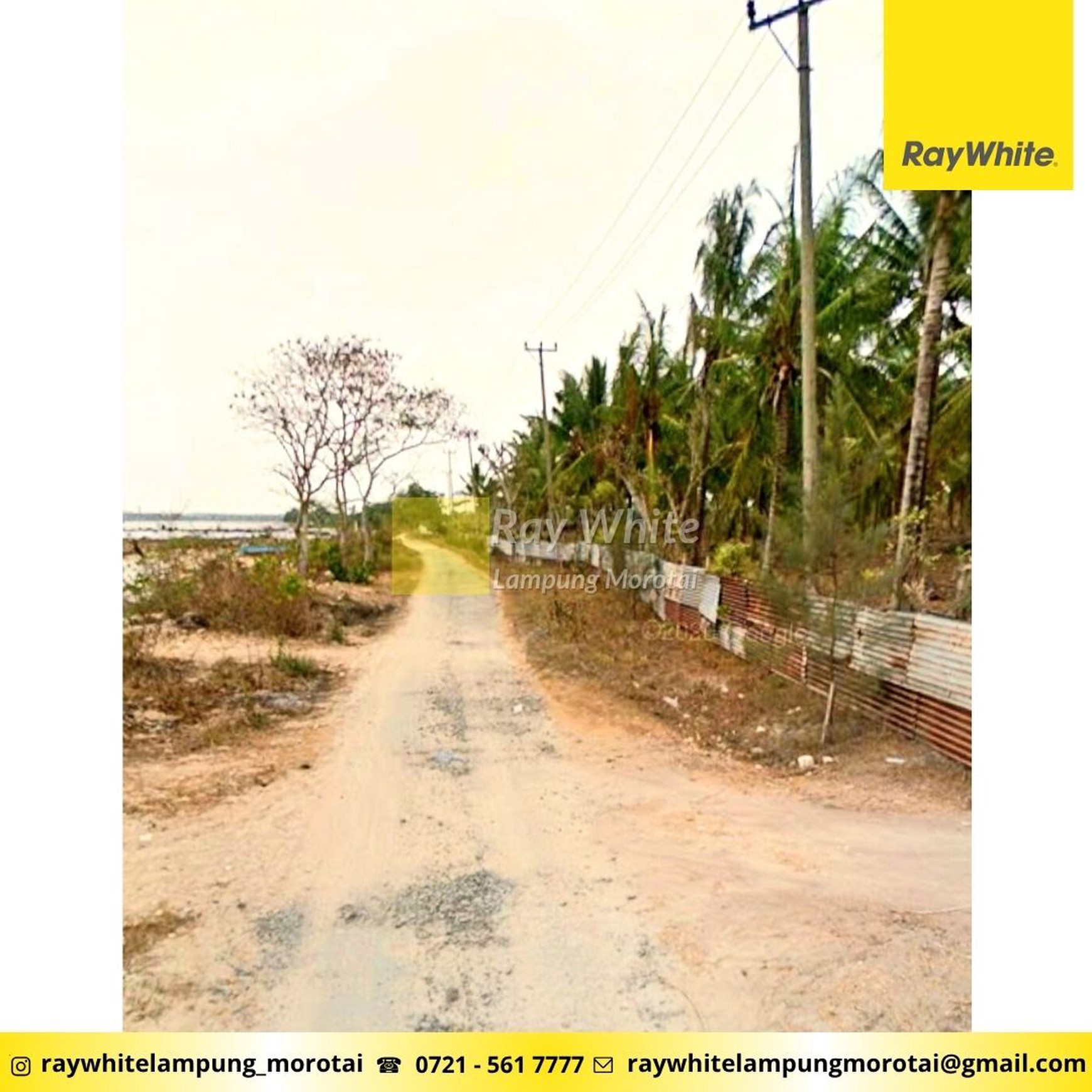 Dijual tanah pantai kalianda dengan kebun kelapa