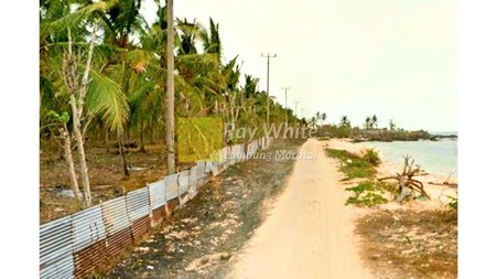 Dijual tanah pantai kalianda dengan kebun kelapa