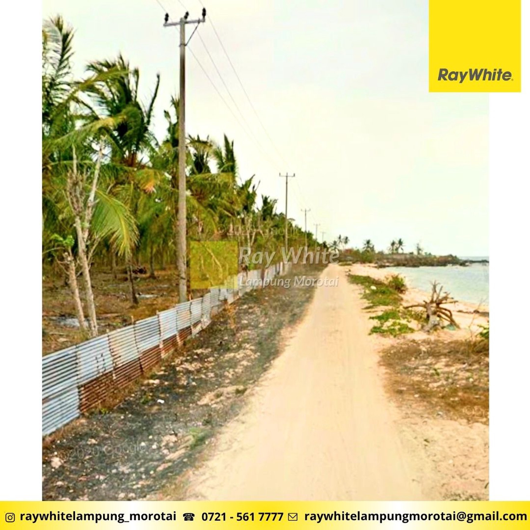 Dijual tanah pantai kalianda dengan kebun kelapa