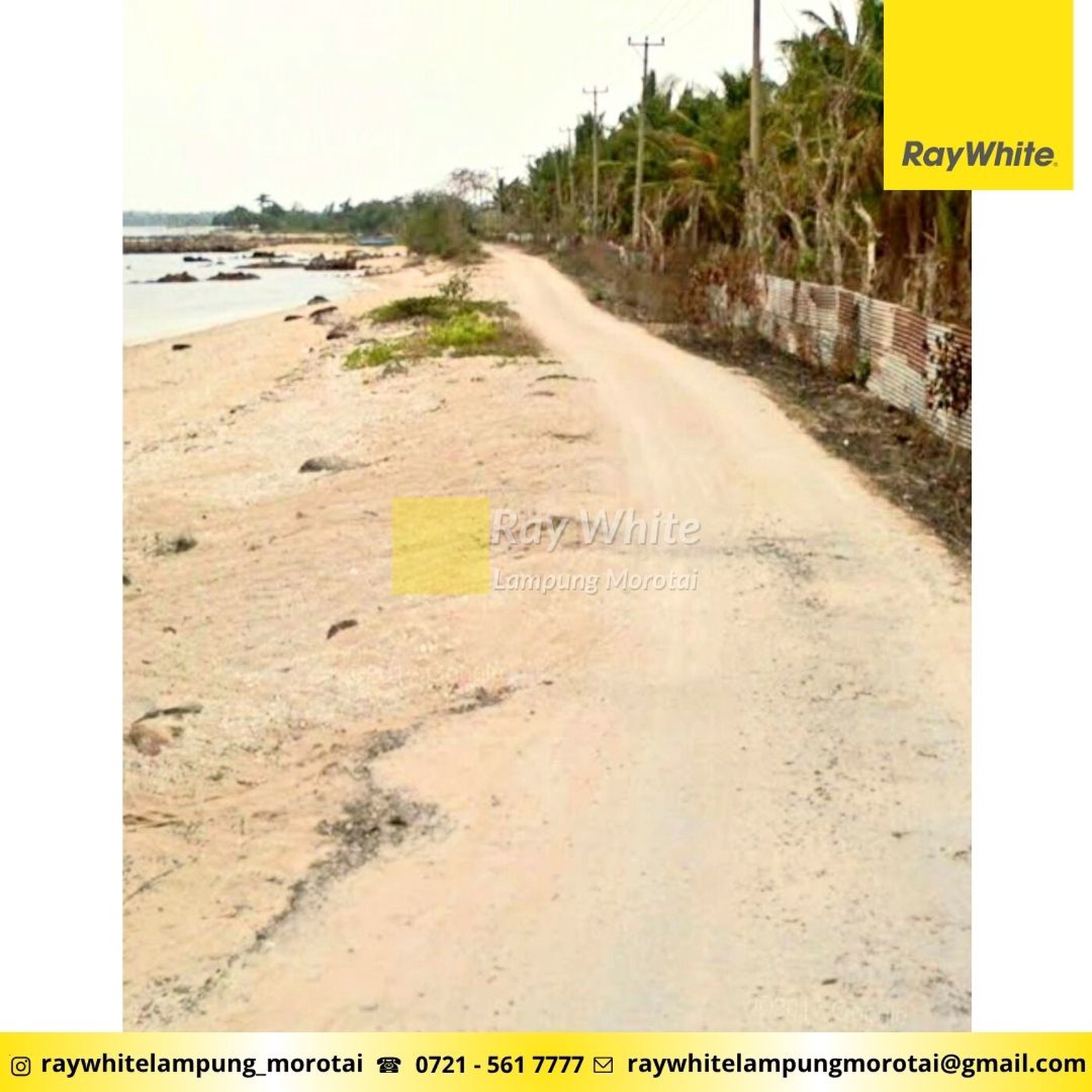 Dijual tanah pantai kalianda dengan kebun kelapa