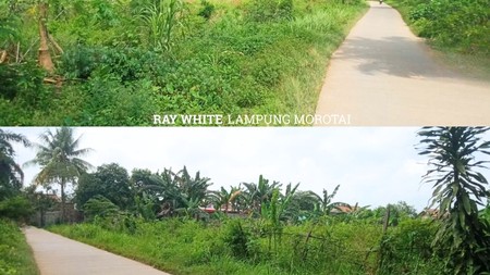 Dijual tanah natar lampung selatan