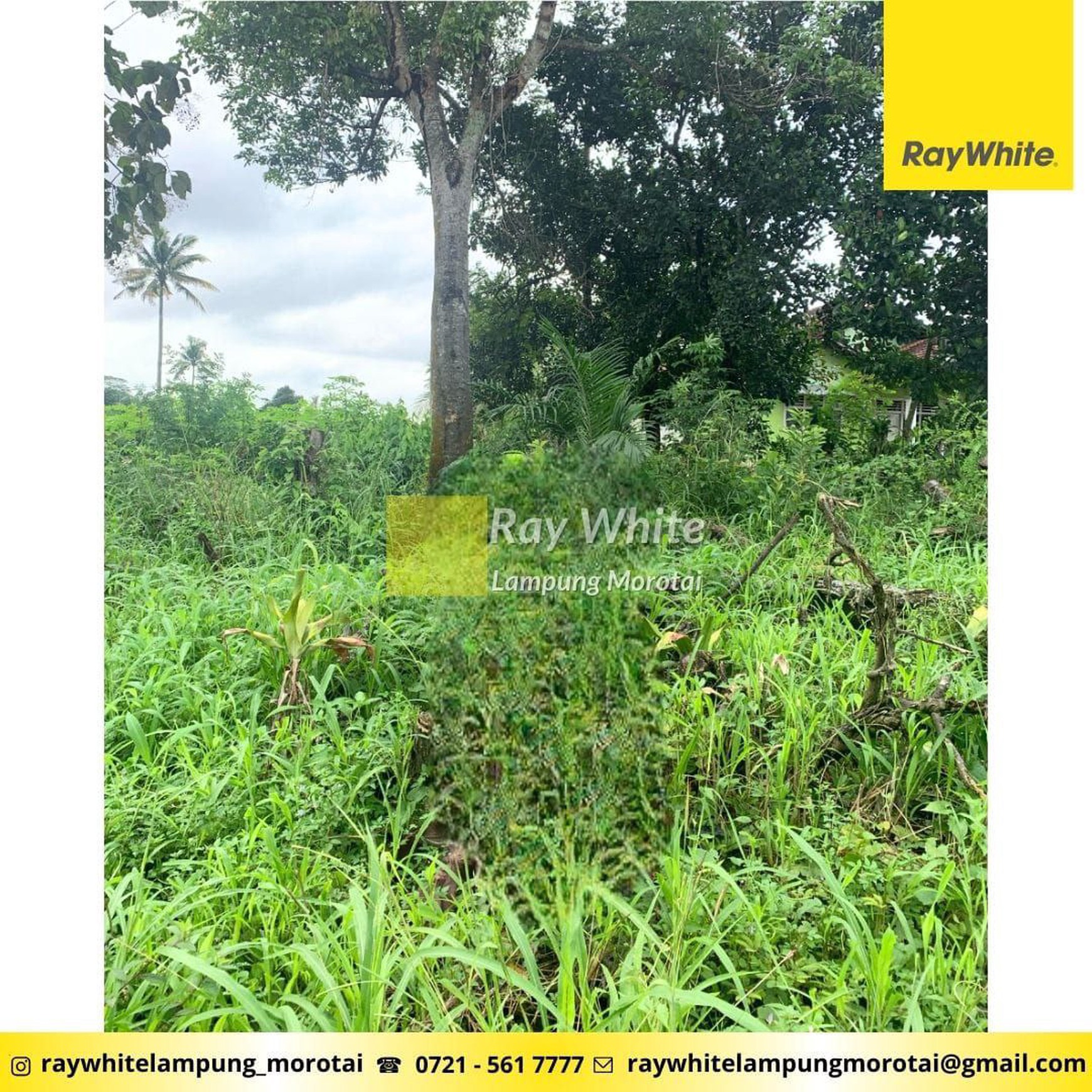 Dijual Tanah di Terbanggi Besar, Lampung Tengah