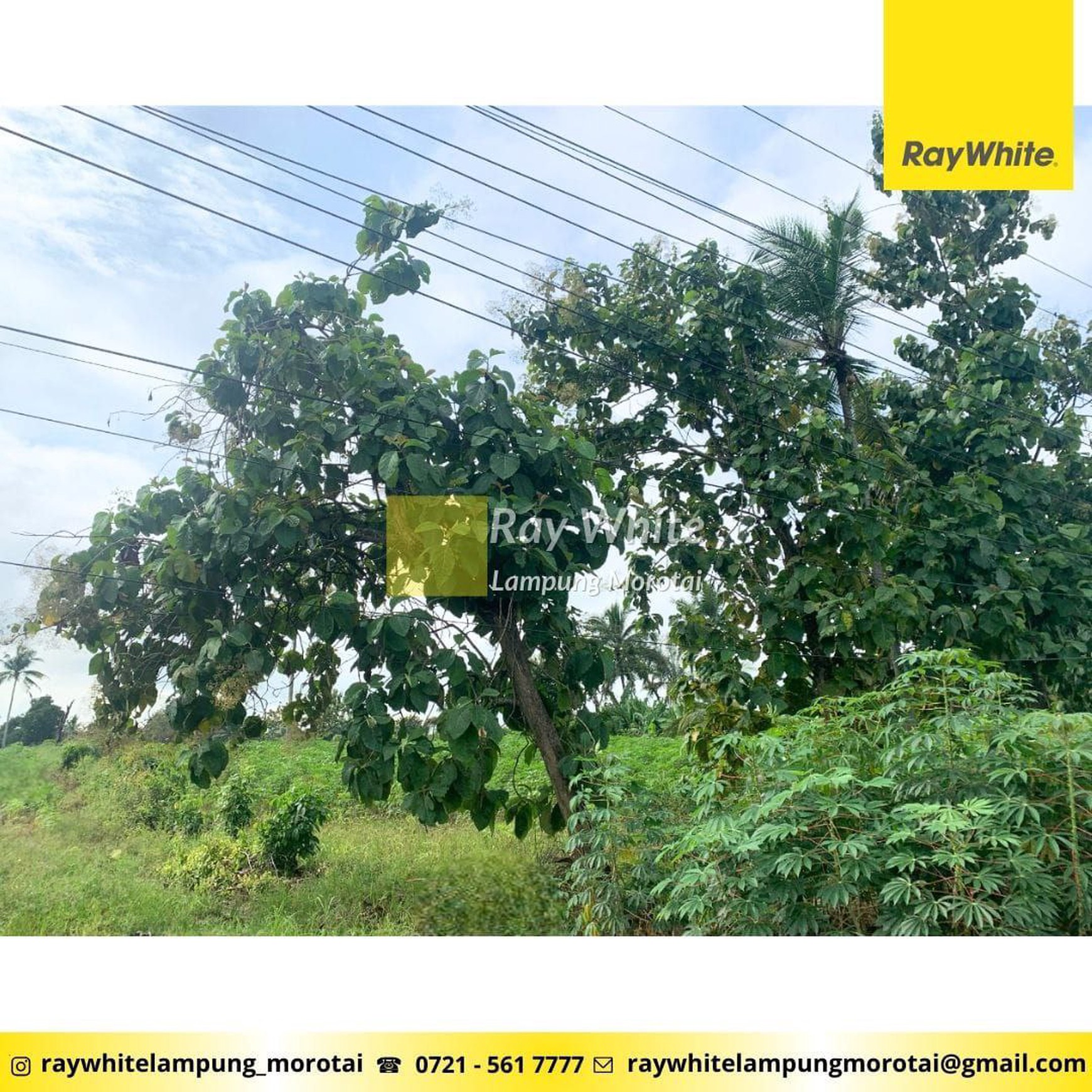 Dijual Tanah di Terbanggi Besar, Lampung Tengah