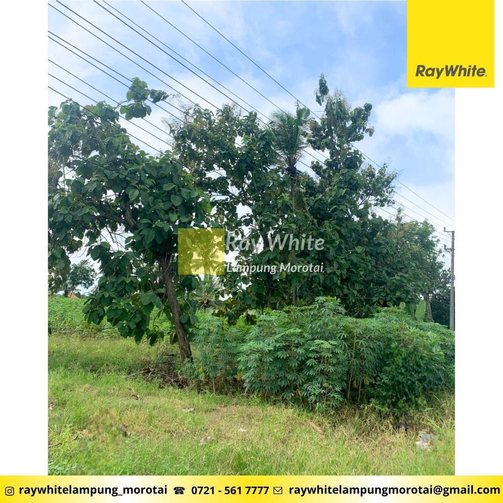 Dijual Tanah di Terbanggi Besar, Lampung Tengah