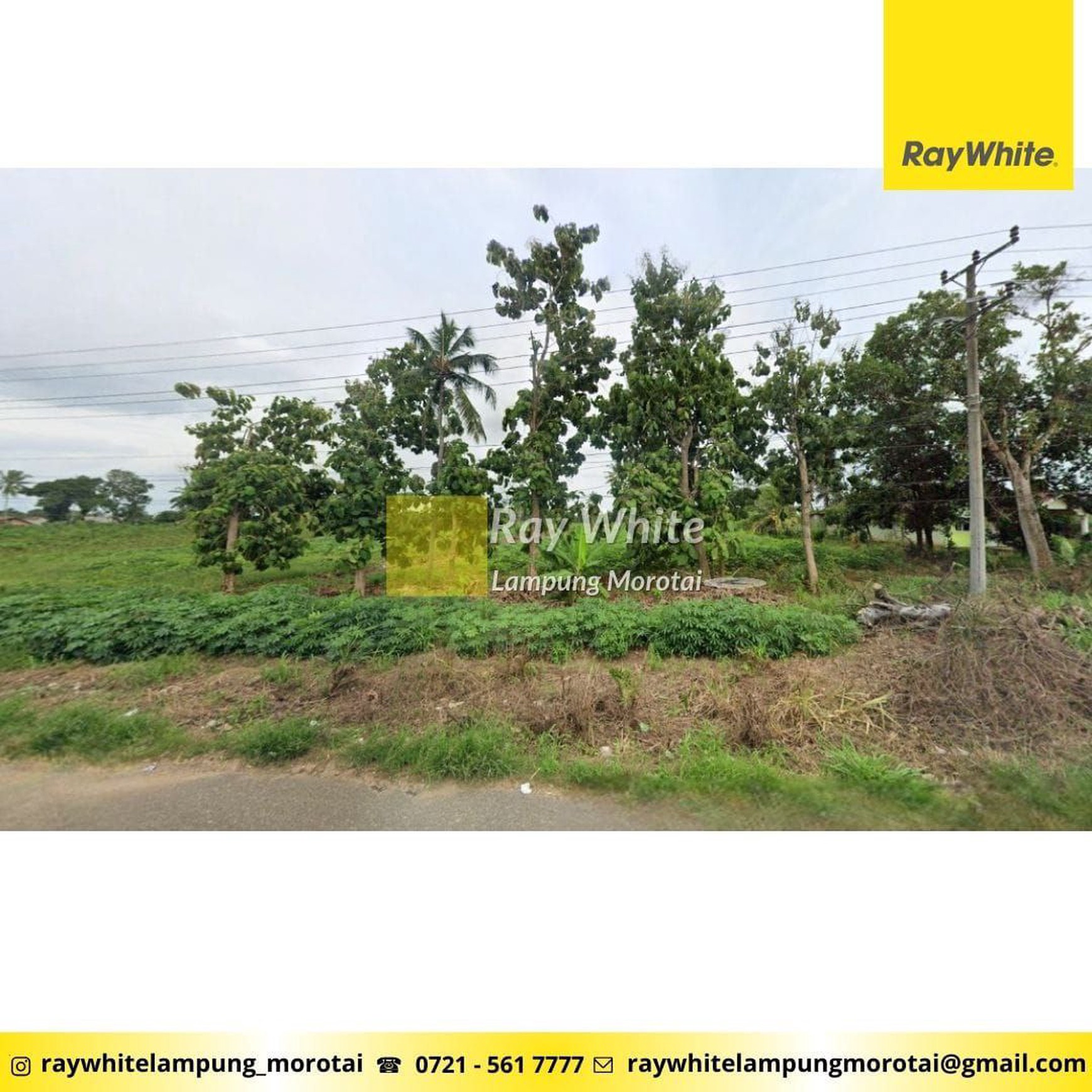 Dijual Tanah di Terbanggi Besar, Lampung Tengah