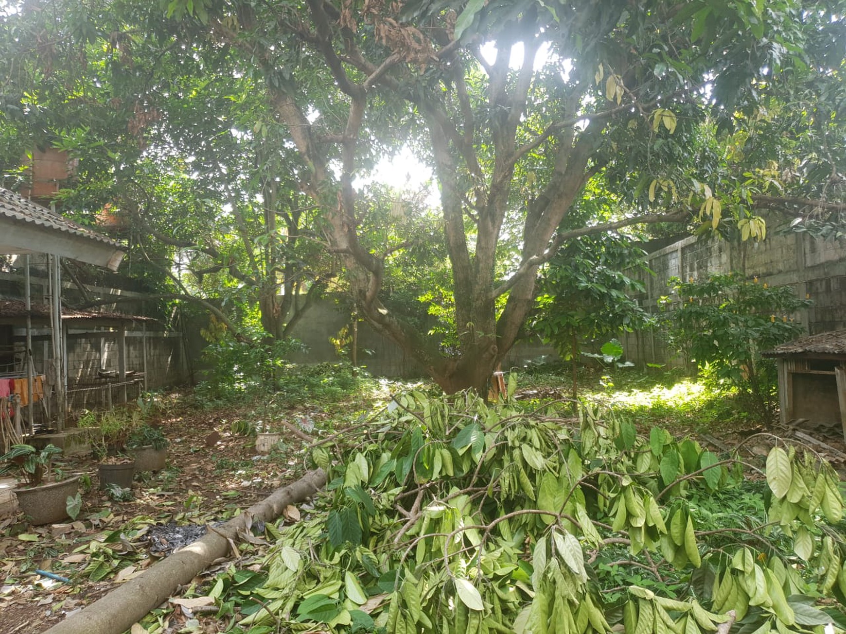 Rumah Hitung Tanah Bintaro Jaya Sektor 9.