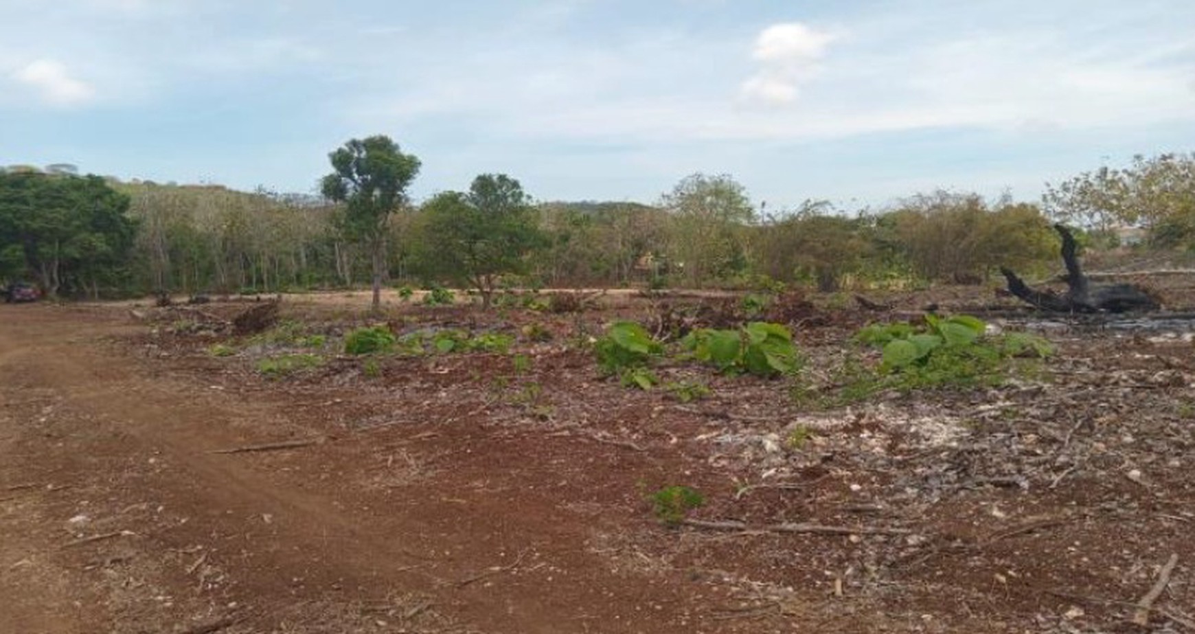 For Sale Quick Land for Tourism Strategic location in Balangan, Jimbaran, Bali