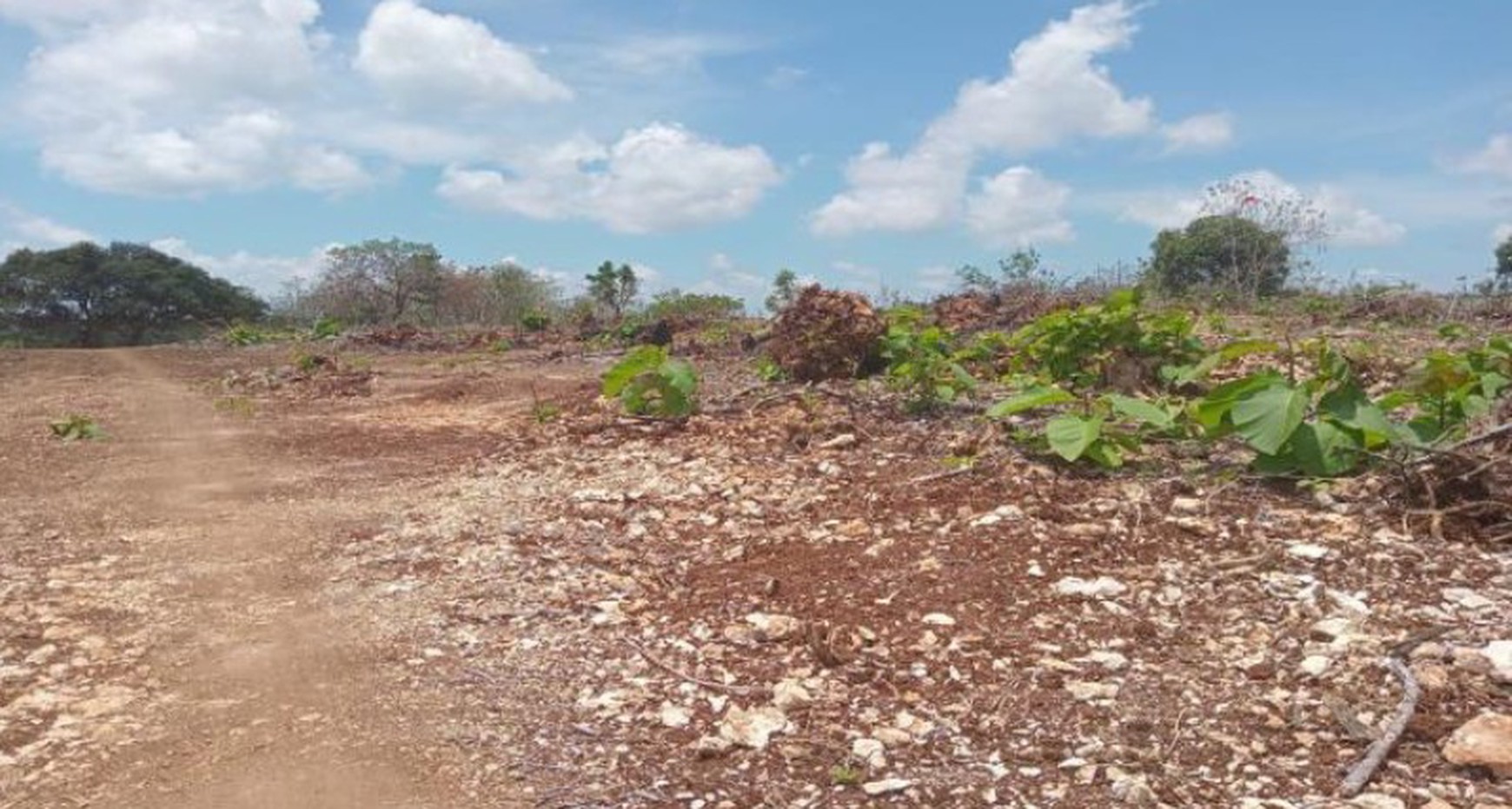 For Sale Quick Land for Tourism Strategic location in Balangan, Jimbaran, Bali