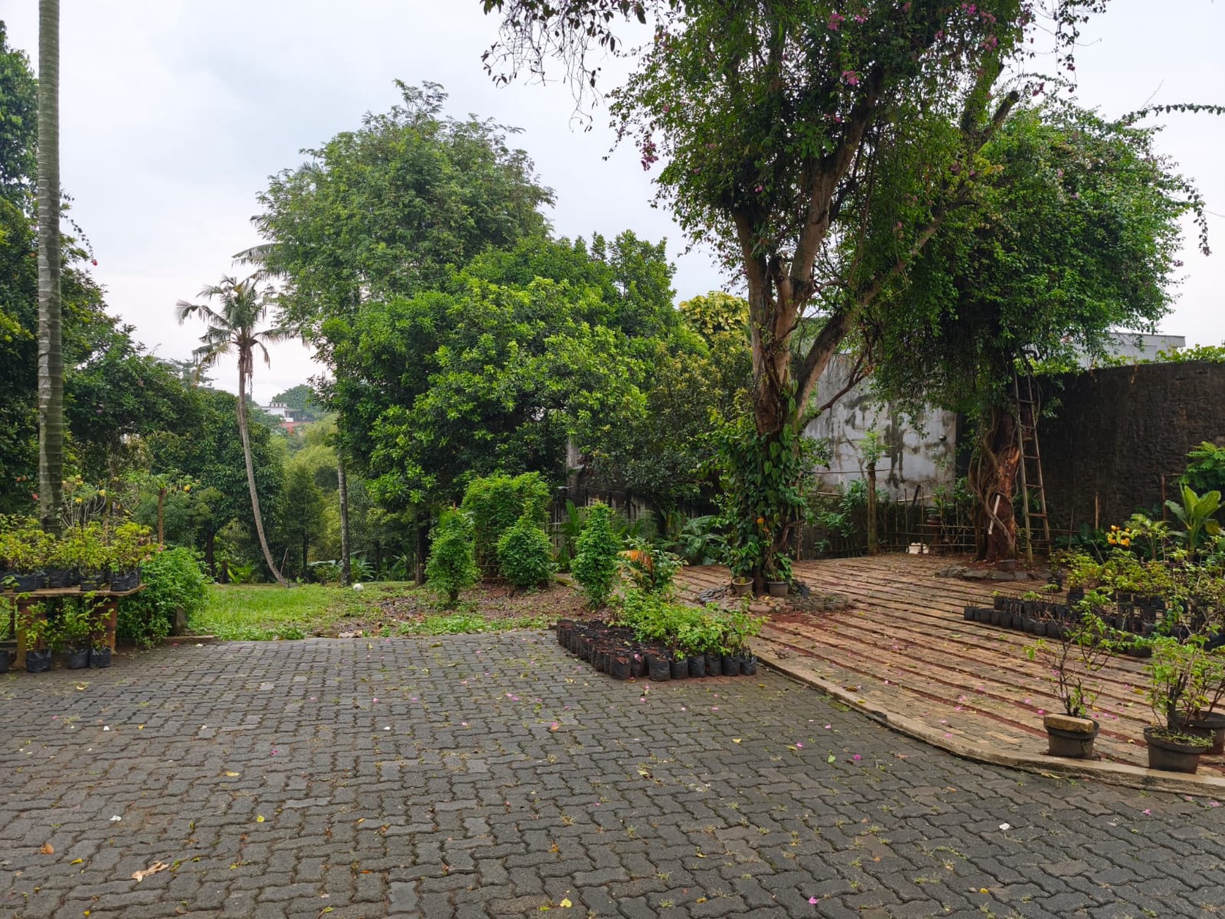 Dijual Rumah Antik Yang Nyaman Bernuansa Jawa Dengan Halaman Yang Super Luas di Jagakarsa, Jaksel