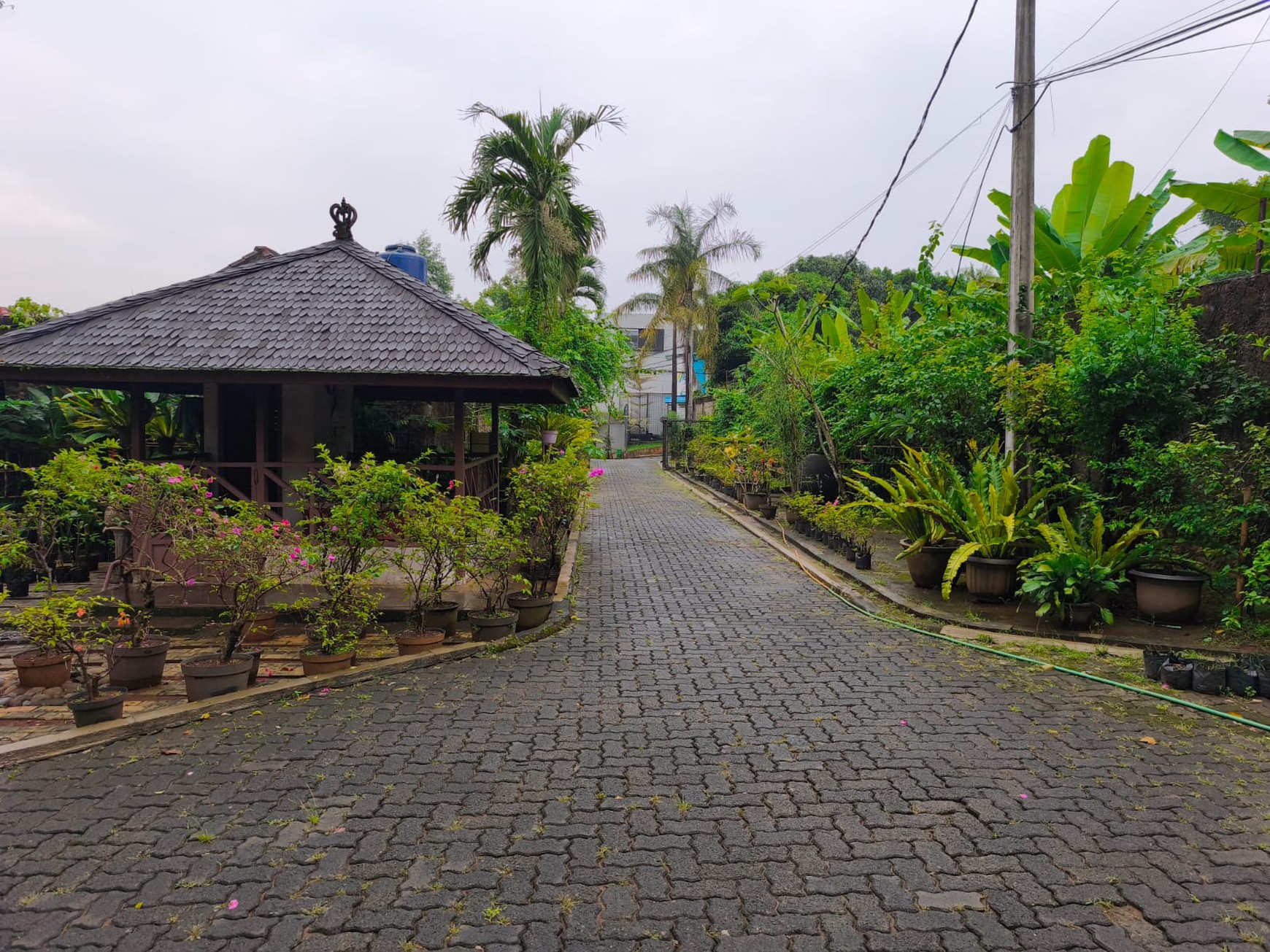 Dijual Rumah Antik Yang Nyaman Bernuansa Jawa Dengan Halaman Yang Super Luas di Jagakarsa, Jaksel