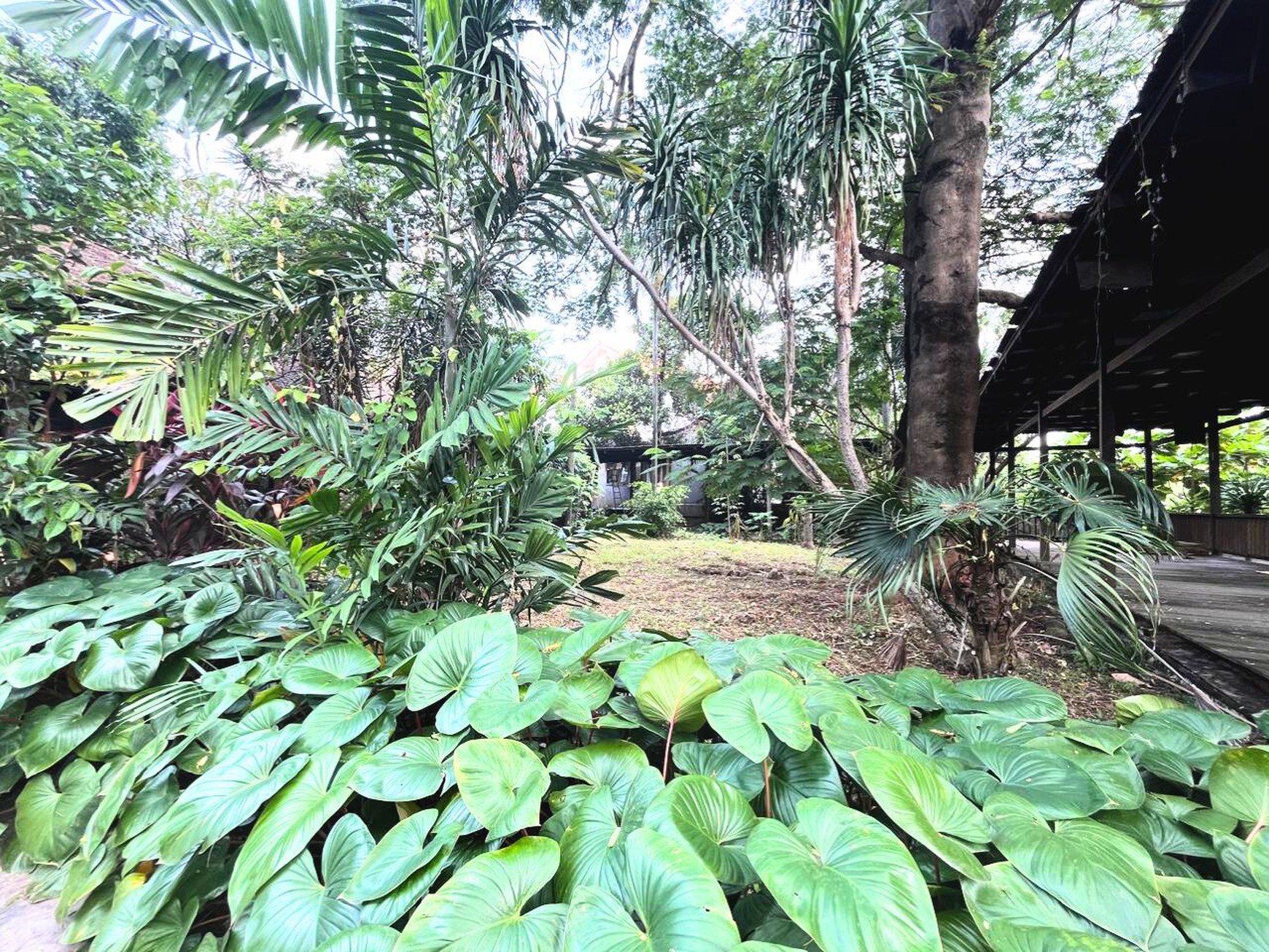 Gedung Serba Gudang di Jeruk Purut Cilandak Timur
