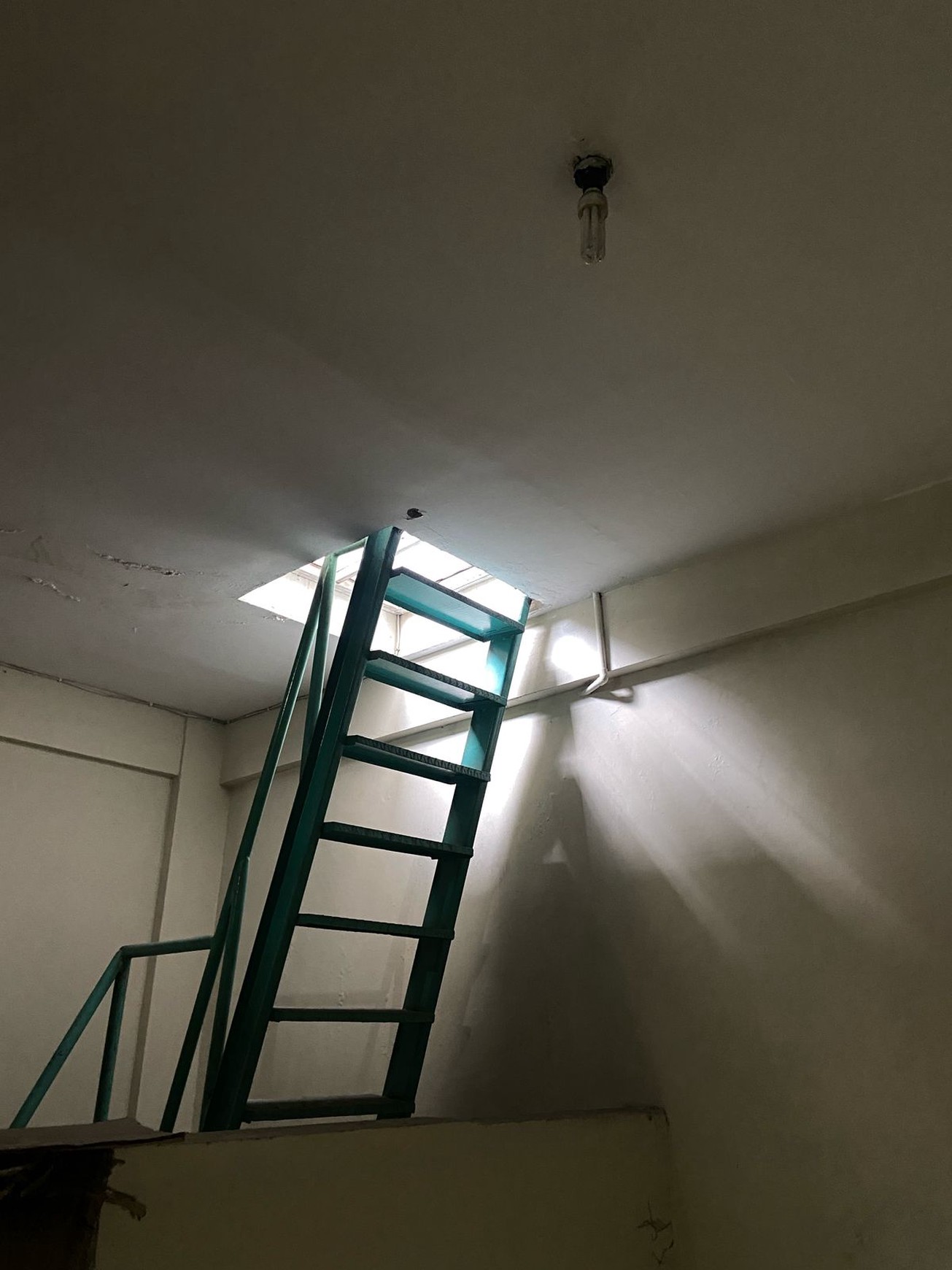Ruko Murah Lokasi Strategis 21 Klampis - Cocok Kantor atau Toko