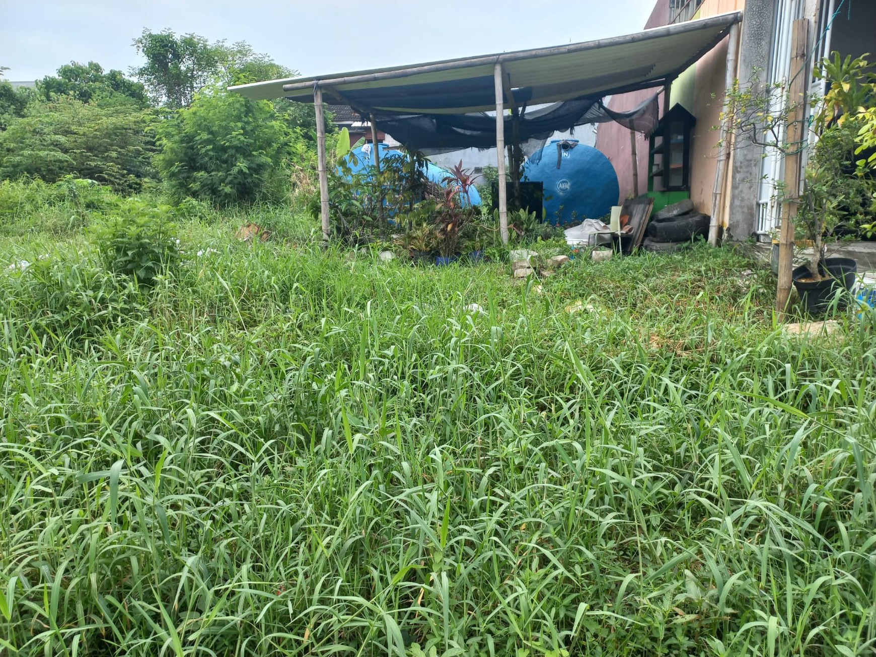 DIJUAL TANAH JL MUTIARA DRIYOREJO BELAKANG CITRALAND CBD