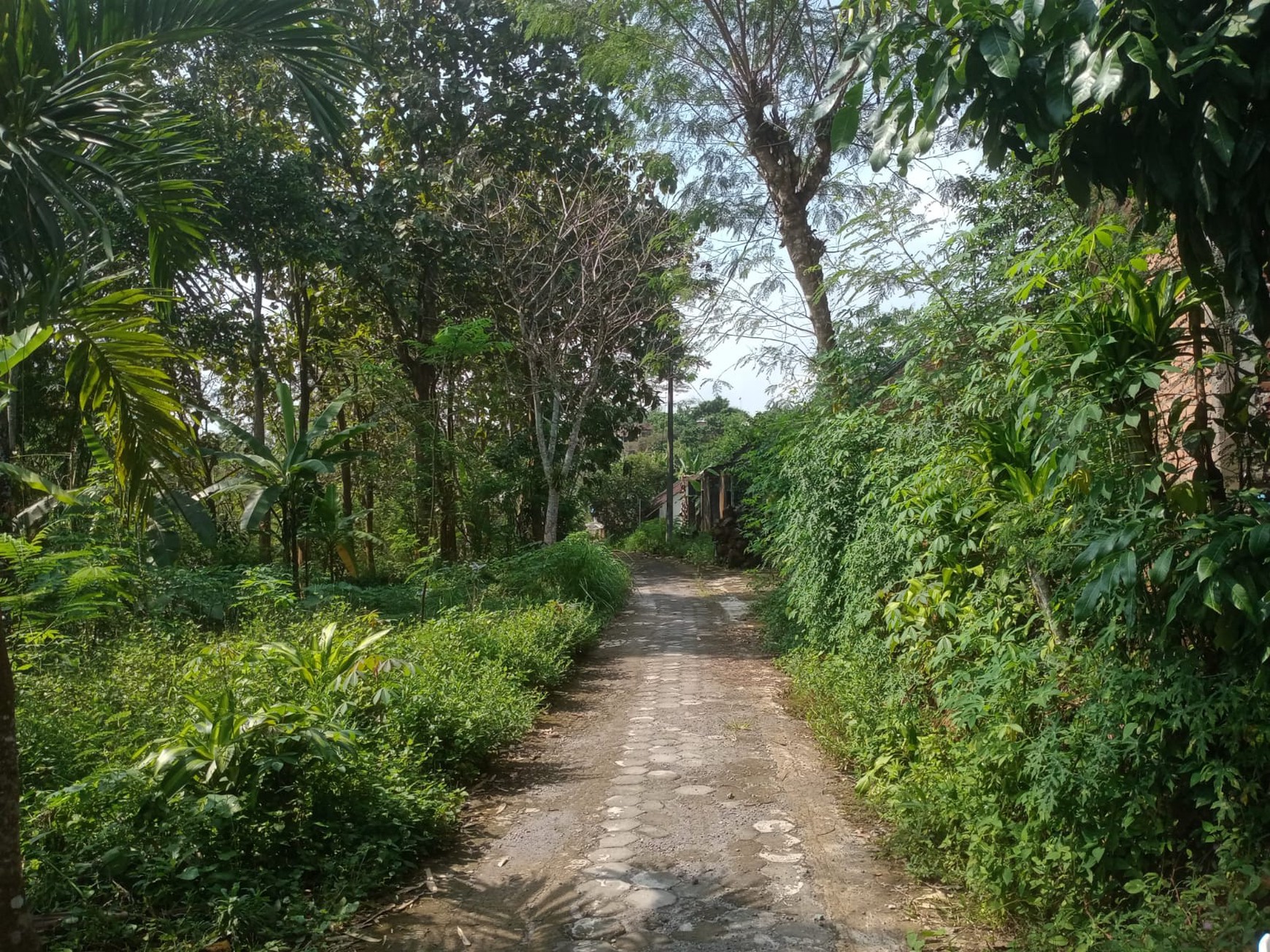 Tanah Murah dalam Perumahan di Kota Magelang 