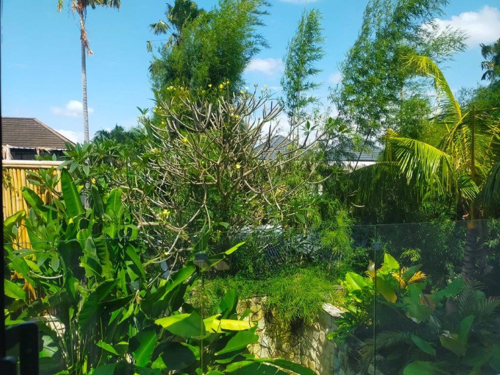 Charming 2-Bedroom Leasehold Villa in Canggu