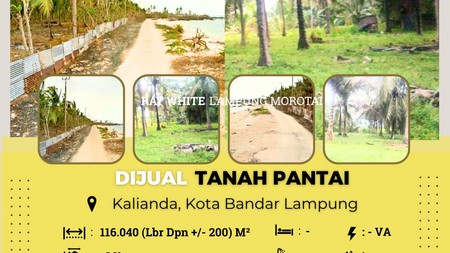 DIJUAL TANAH KEBUN KELAPA BERIKUT TANAH TEPI PANTAI NAN INDAH DI KALIANDA