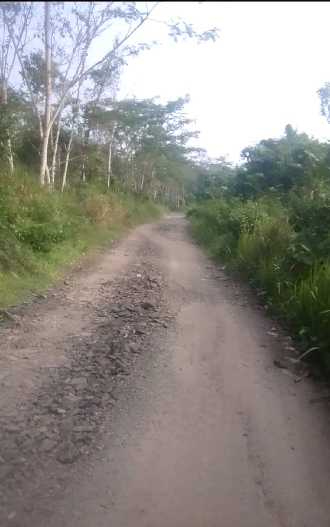 Kavling Tanah Murah Dan Luas, Siap Bangun, Dalam Kawasan Industri Di Rangkas bitung
