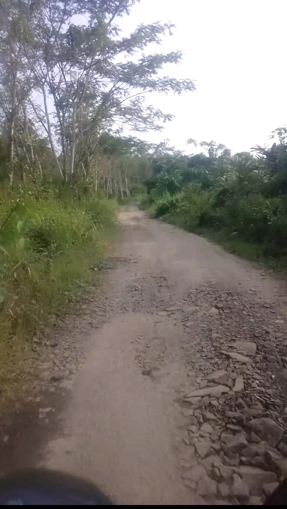 Kavling Tanah Murah Dan Luas, Siap Bangun, Dalam Kawasan Industri Di Rangkas bitung