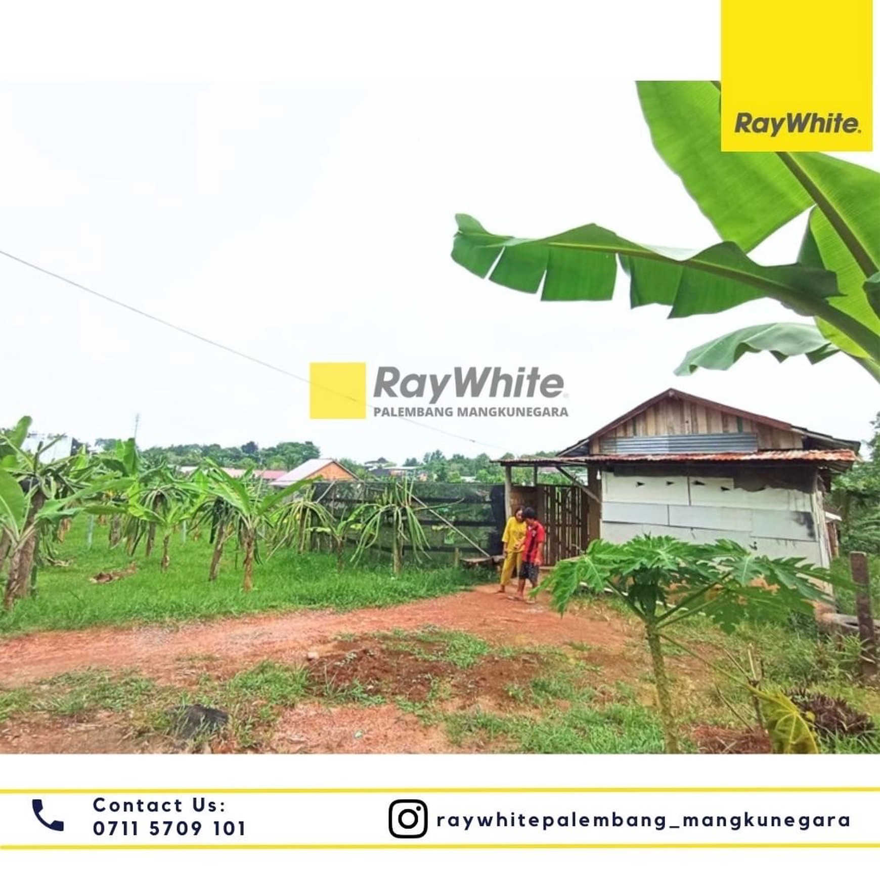 DI JUAL TANAH PALEMBANG MURAH 