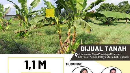 TANAH MURAH PALEMBANG 