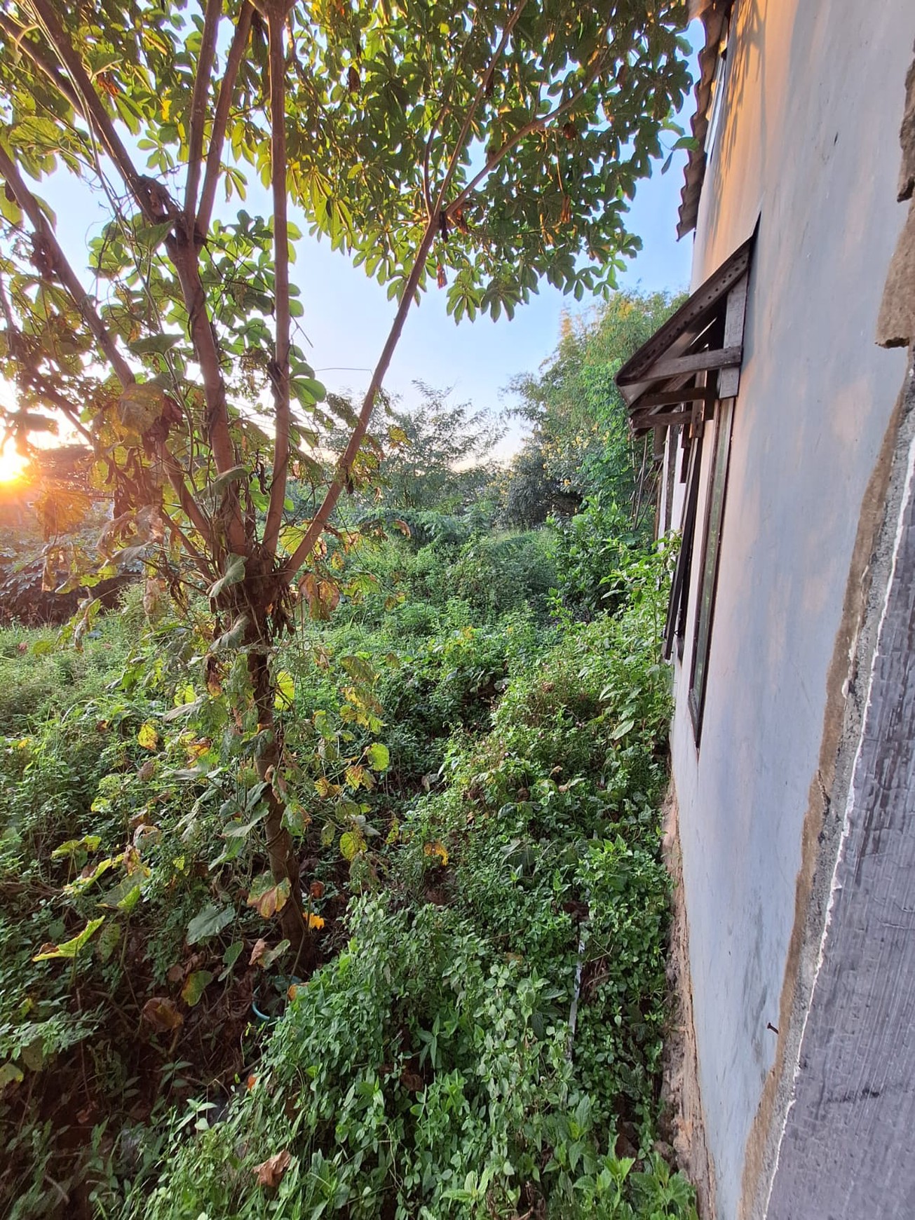 Rumah Minimalis Siap Huni Cocok Untuk Keluarga Muda Dekat Pusat Kota - Karangploso Malang Harga Cuma 380JT