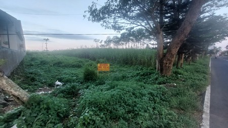 DIJUAL TANAH SIAP BANGUN LOKASI STRATEGIS DI MALANG HARGA 1,8JT/M2