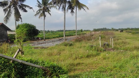 Tanah Luas Lokasi di Dusun Galagah Dekat dengan Bandara YIA Kulon Progo 