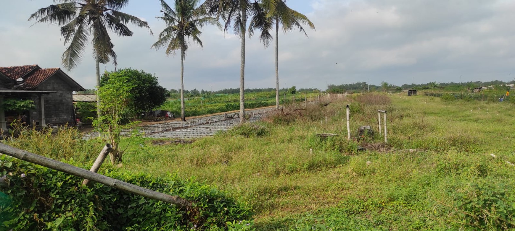 Tanah Luas Lokasi di Dusun Galagah Dekat dengan Bandara YIA Kulon Progo 