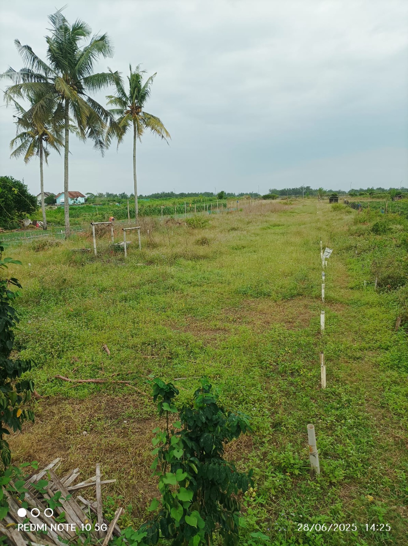 Tanah Luas Lokasi di Dusun Galagah Dekat dengan Bandara YIA Kulon Progo 
