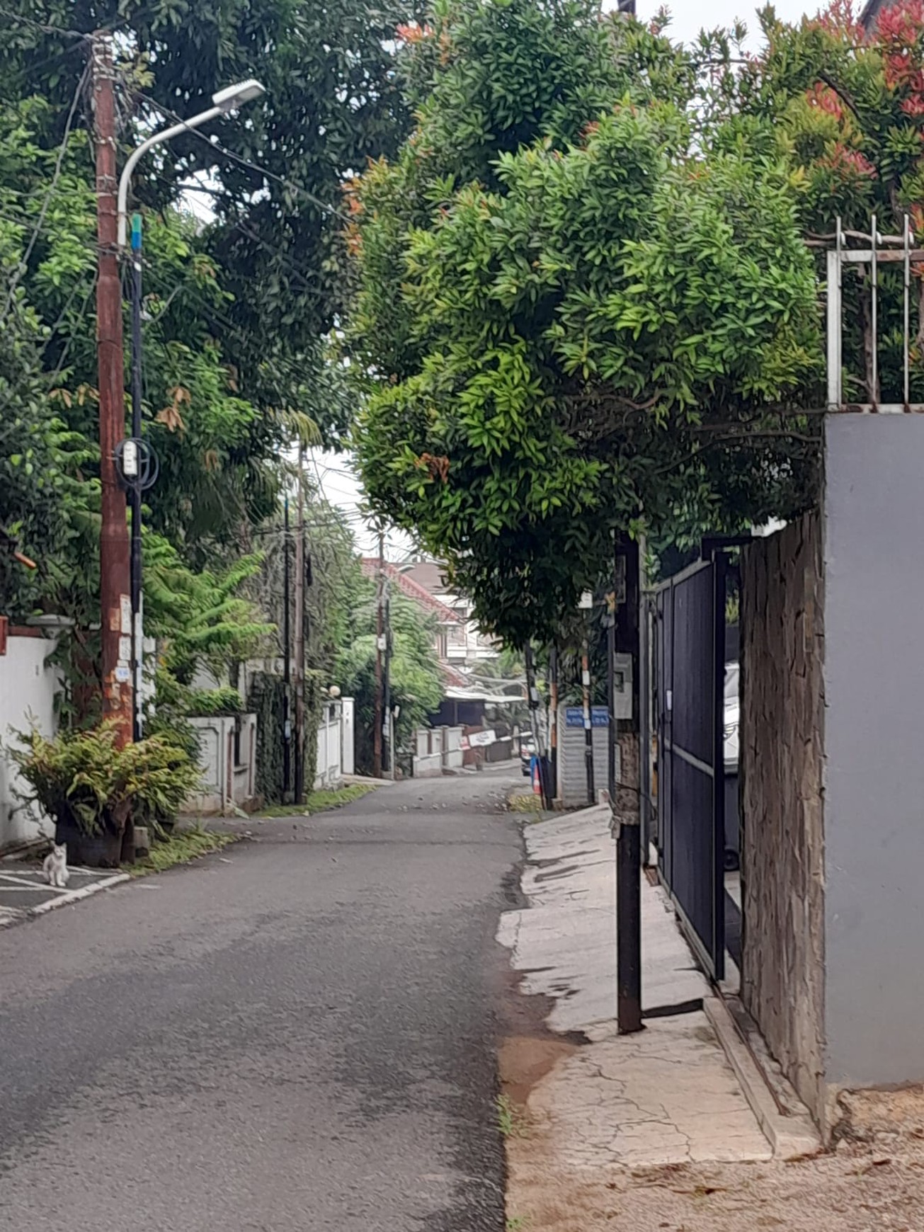 Di Jual  Tanah  di Jl Bunga Mayang Veteran, Jakarta Selatan
