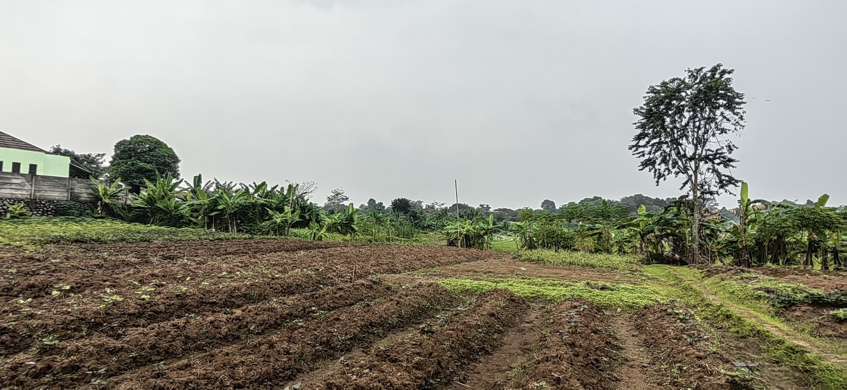 Di Jual Tanah kavling Jl. Balaraja - Tangerang