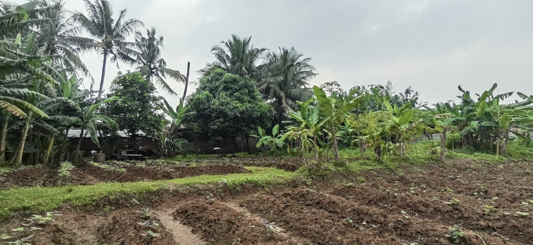 Di Jual Tanah kavling Jl. Balaraja - Tangerang