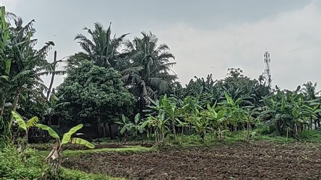 Di Jual Tanah kavling Jl. Balaraja - Tangerang