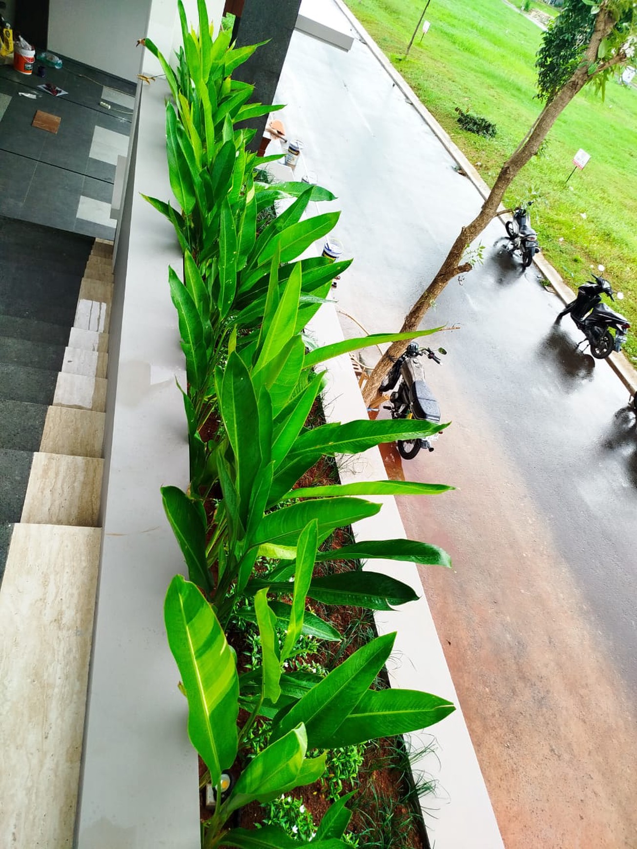 Rumah Brand New Di Dharmawangsa Home Bintaro Jaya