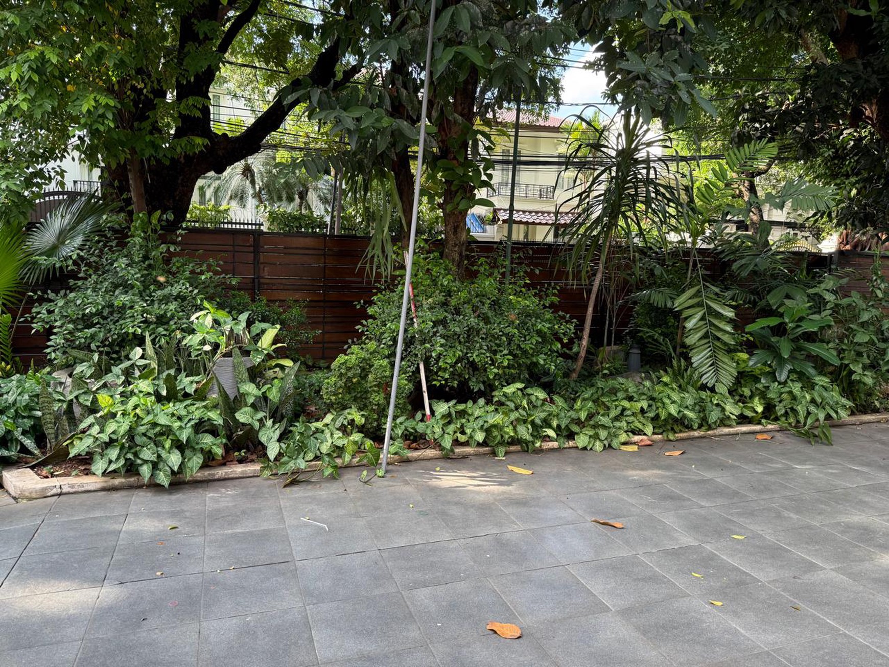 Disewa Rumah Di Menteng