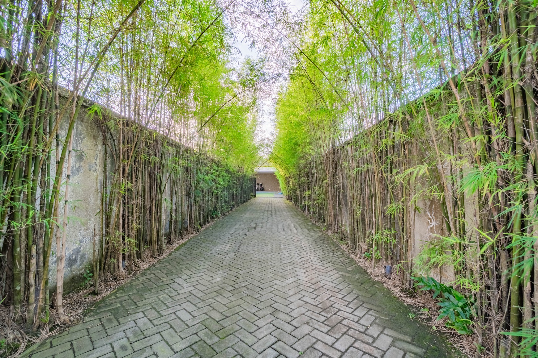 Luxury Villa for Sale, Prime Location in Munggu, Near Beach & Attractions