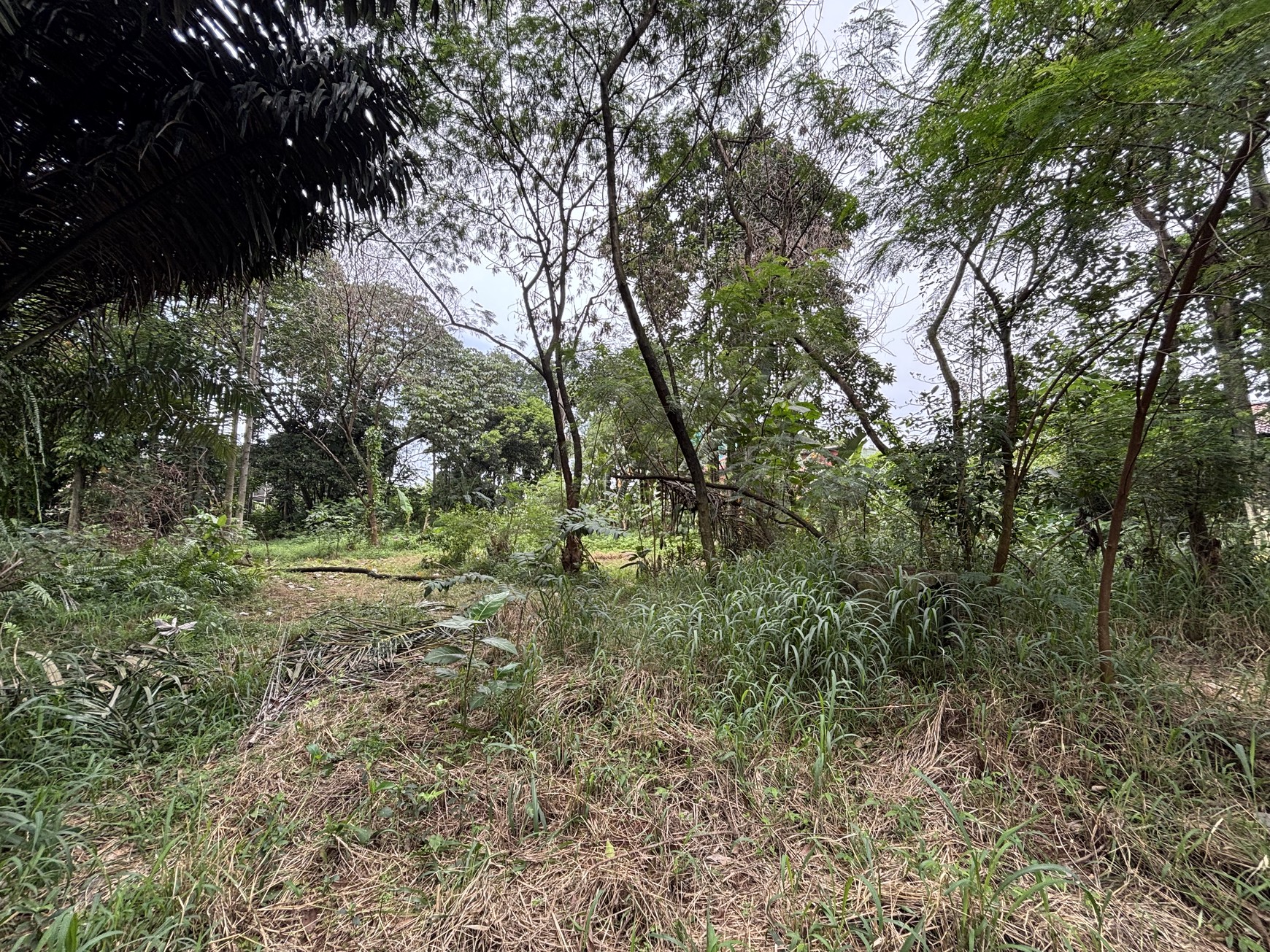 Kavling Industri di Jl. Raya Karanggan 0KM dari Exit Toll Karanggan Gn. Putri