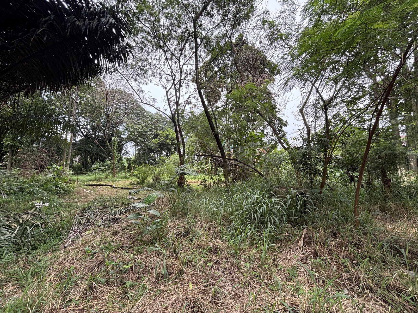 Kavling Industri di Jl. Raya Karanggan 0KM dari Exit Toll Karanggan Gn. Putri