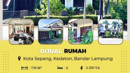 dijual rumah murah kota sepang bandar lampung