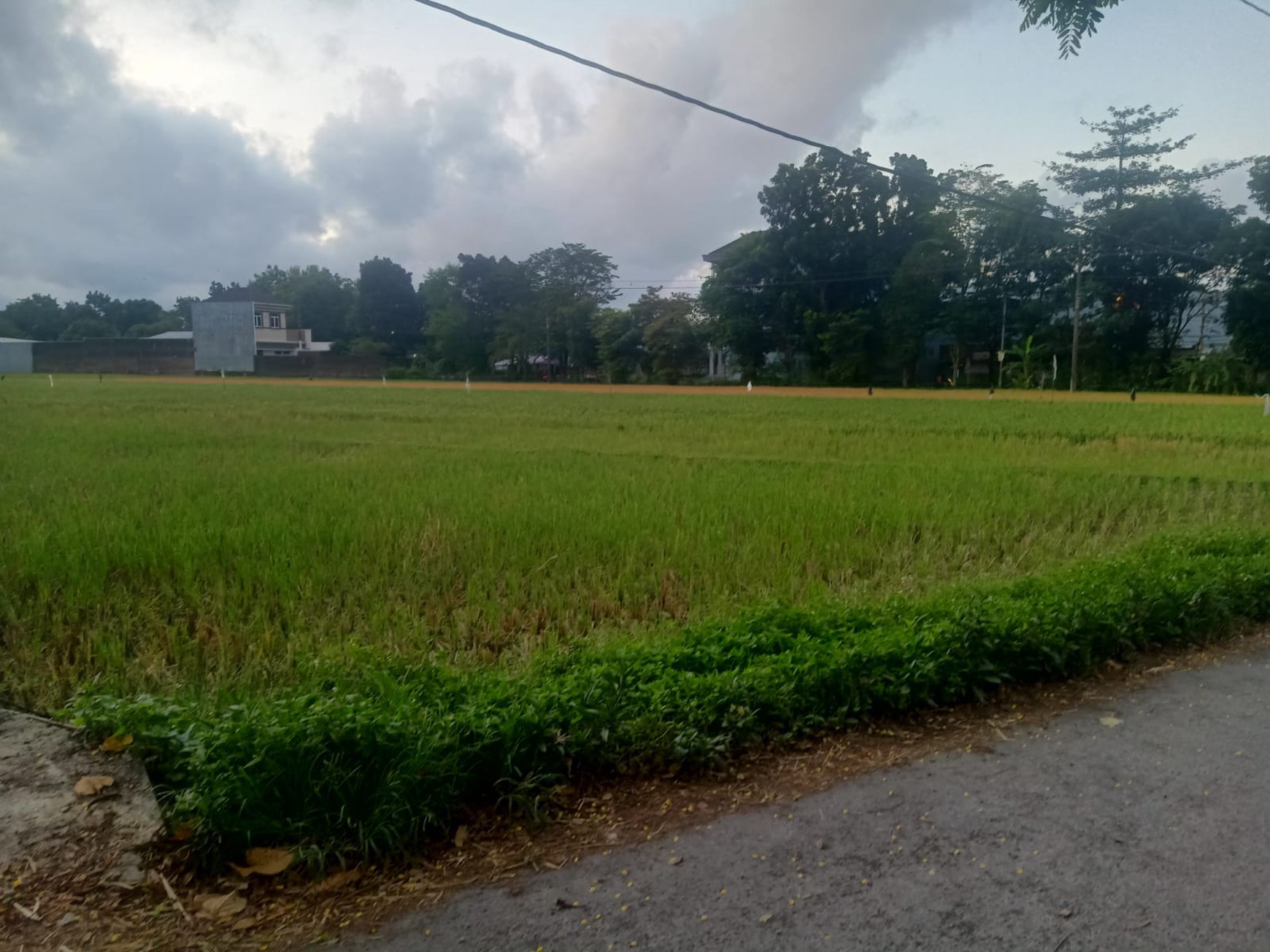 Tanah 3.087 Meter Persegi Cocok Untuk Cafe / Resto / Villa Di Sendangadi Sleman