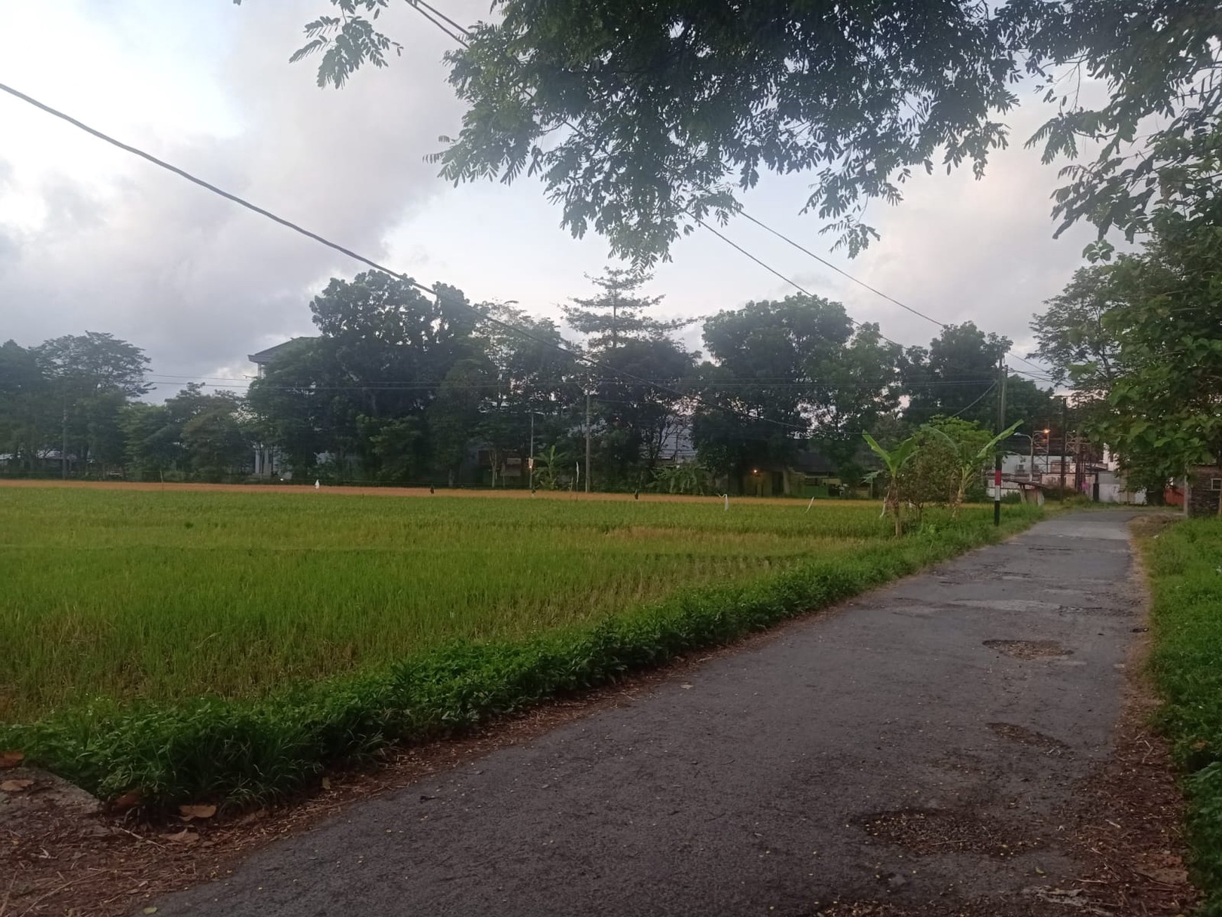 Tanah 3.087 Meter Persegi Cocok Untuk Cafe / Resto / Villa Di Sendangadi Sleman