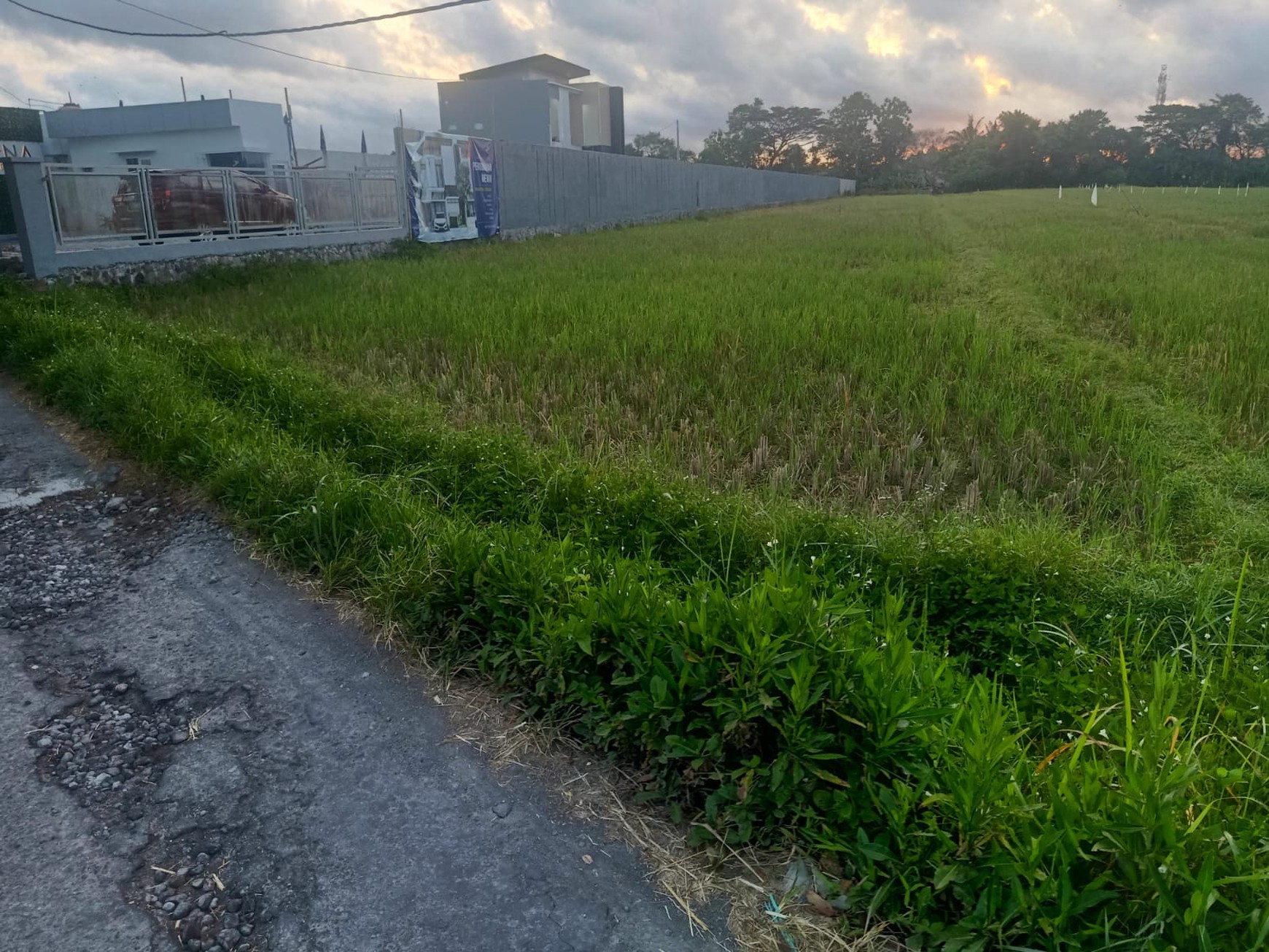 Tanah 3.087 Meter Persegi Cocok Untuk Cafe / Resto / Villa Di Sendangadi Sleman
