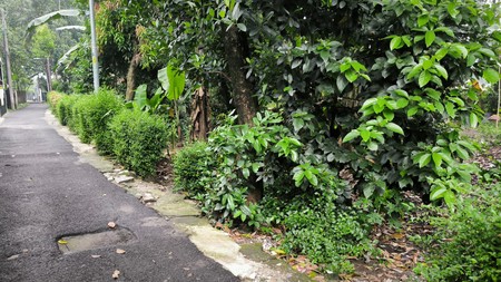 Tanah dijual murah daerah Cipayung Jakarta Timur, cocok utk cluster rumah