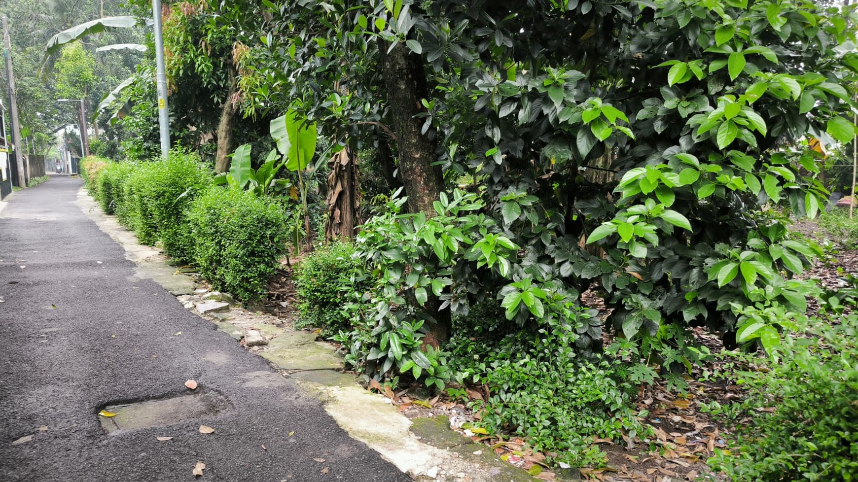 Tanah dijual murah daerah Cipayung Jakarta Timur, cocok utk cluster rumah