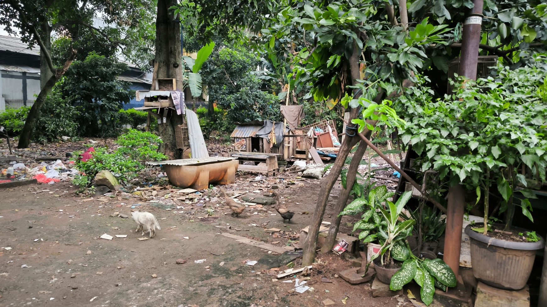 Tanah dijual murah daerah Cipayung Jakarta Timur, cocok utk cluster rumah