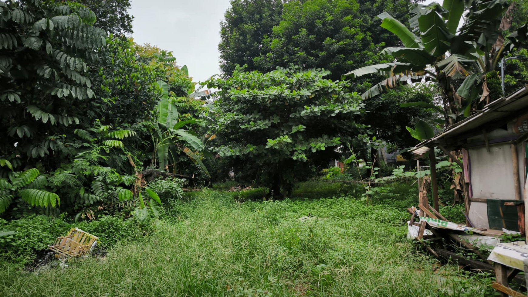 Tanah dijual murah daerah Cipayung Jakarta Timur, cocok utk cluster rumah
