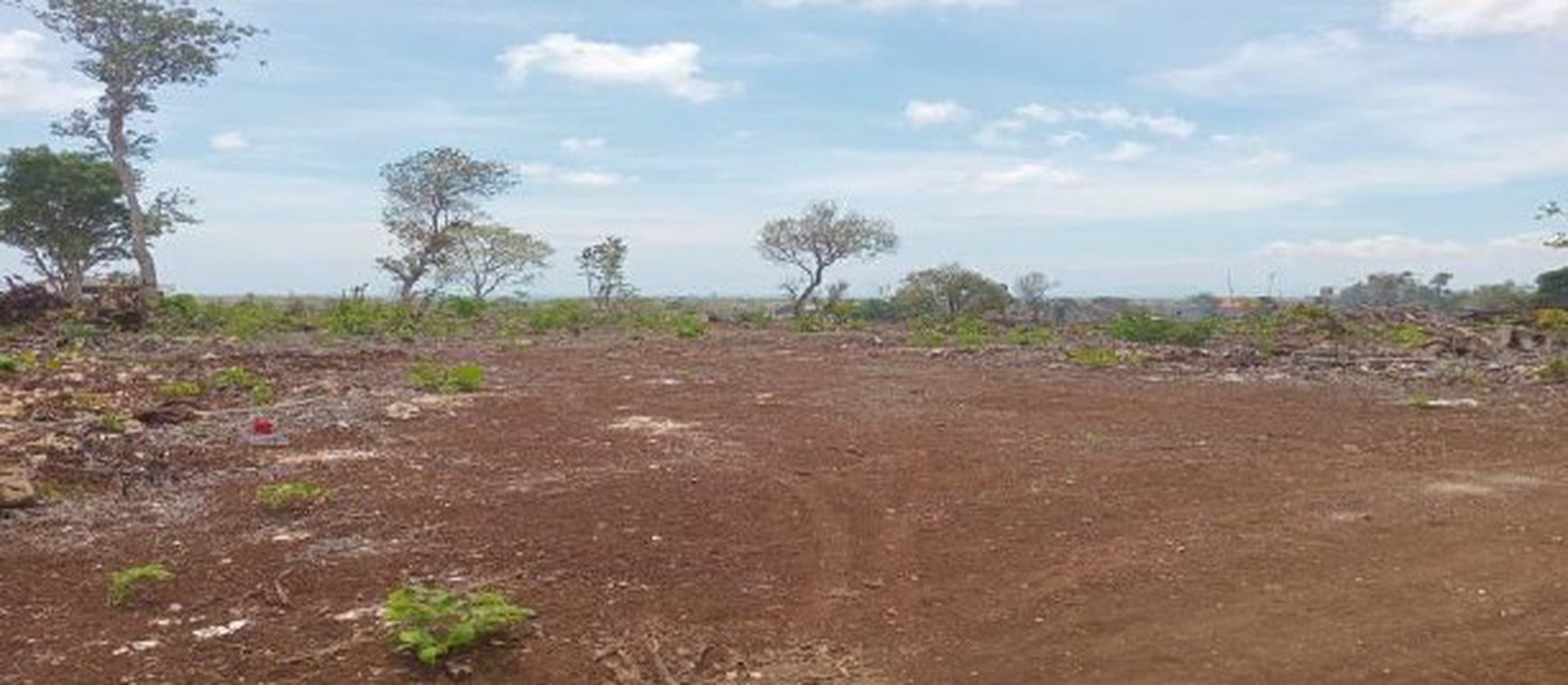 Land For Sale 6 Hectare in Jimbaran Kuta Bali