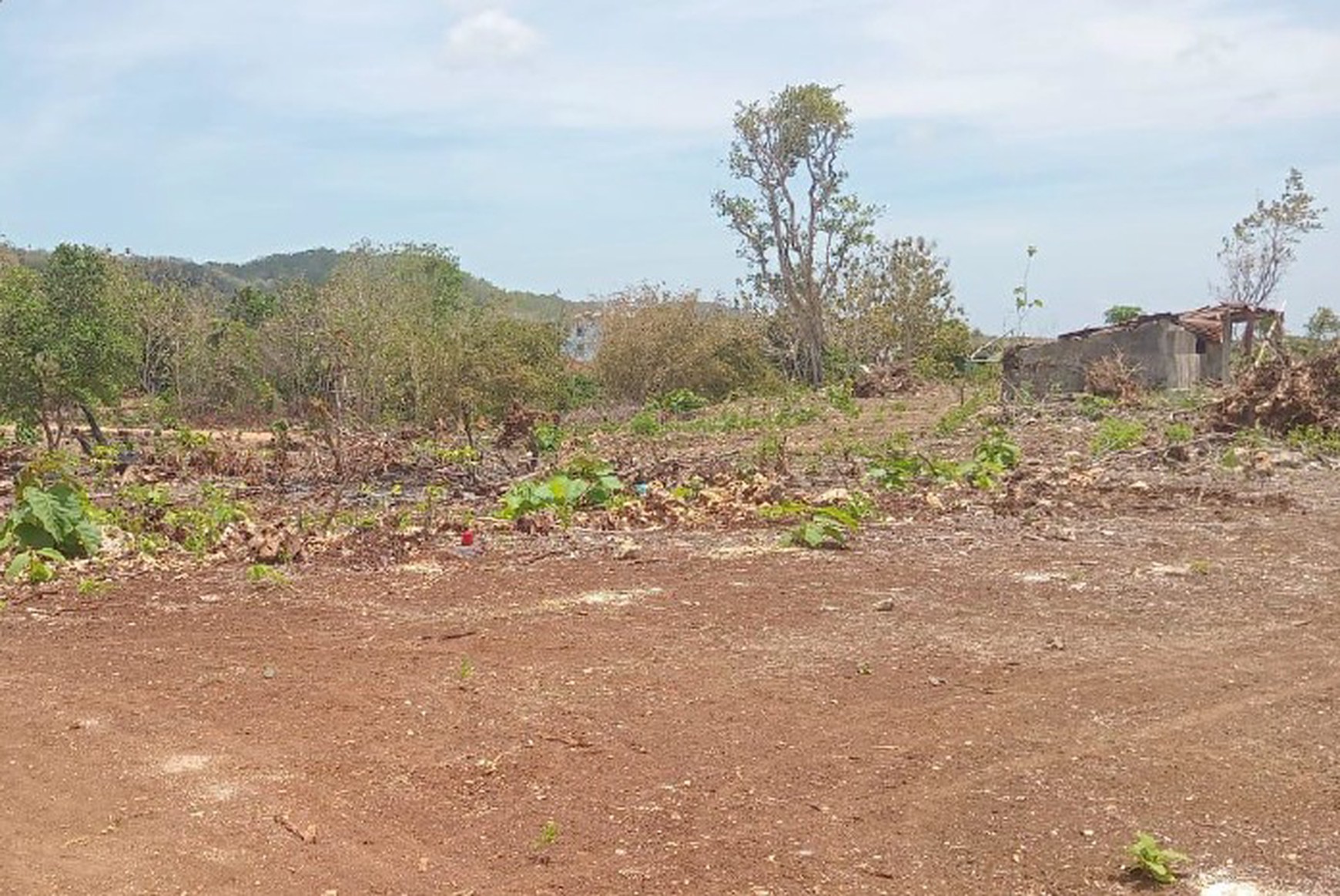 Land For Sale 6 Hectare in Jimbaran Kuta Bali